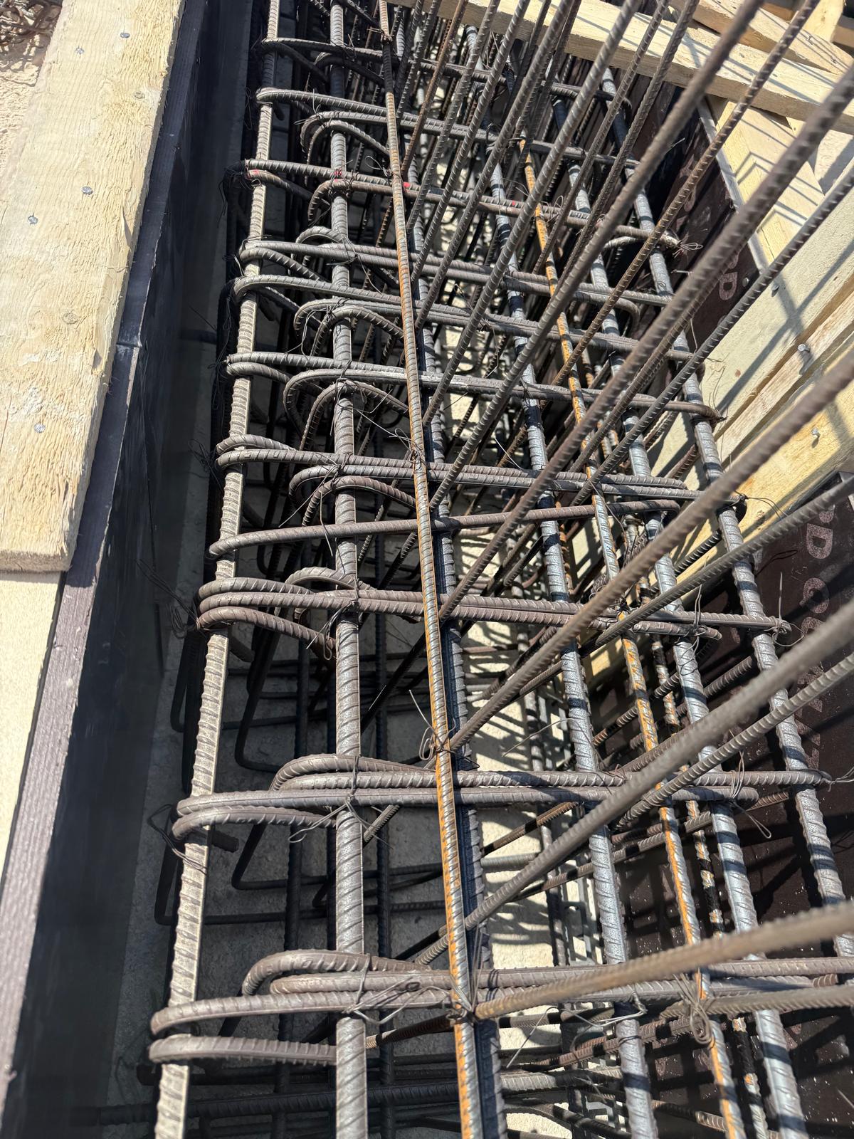 WhatsApp Image 2026-03-11 at 08.32.58 (3)