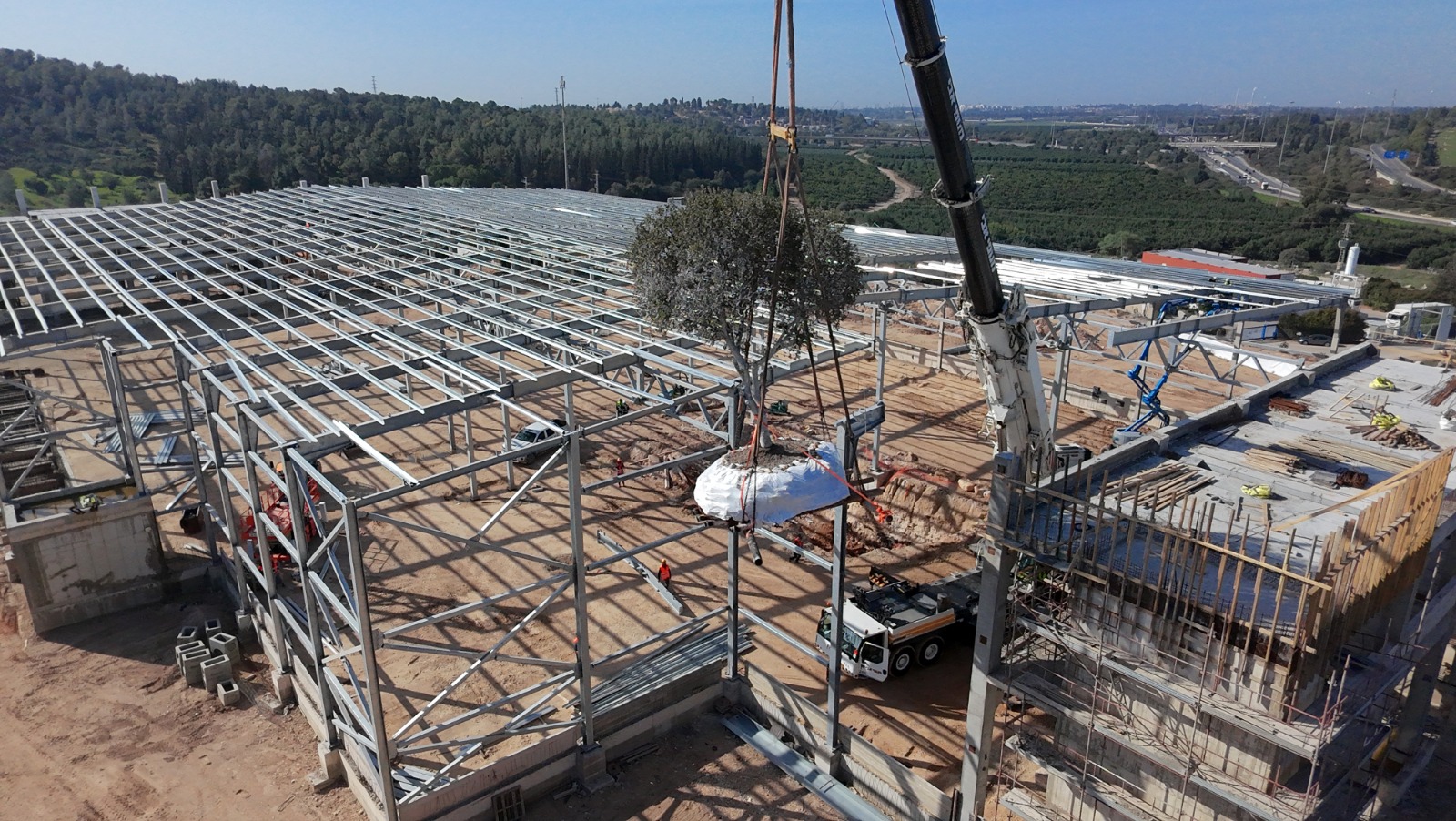 WhatsApp Image 2026-03-11 at 08.33.29