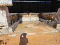 IMG-20231018-WA0020