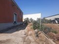 IMG-20231029-WA0018