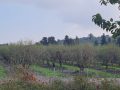 IMG-20231212-WA0046
