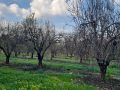 IMG-20231212-WA0052