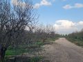 IMG-20231212-WA0055