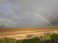 IMG-20231223-WA0034