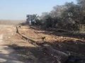 תמונה3